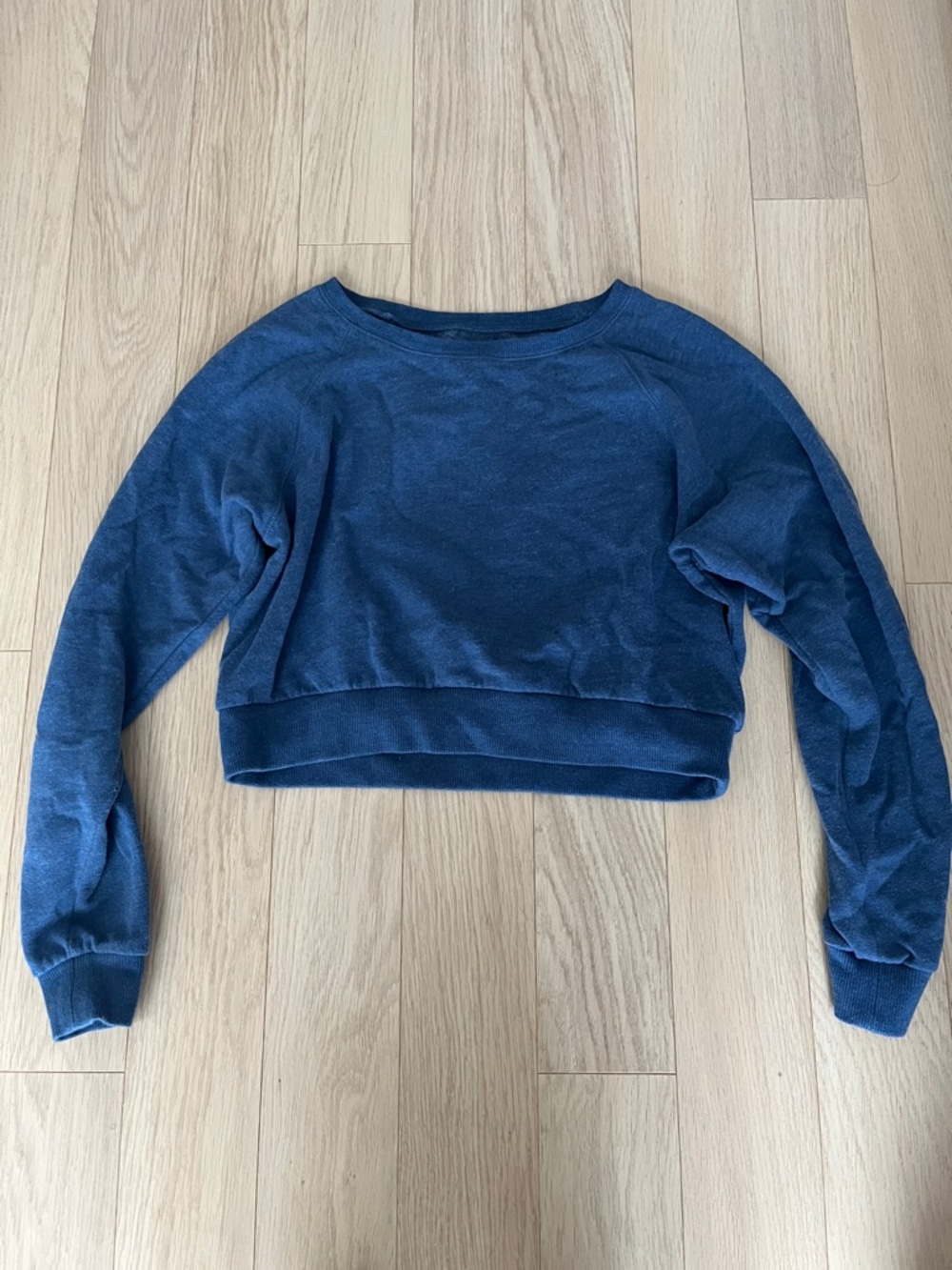 Aritzia - Talula - cropped blue fleece sweater